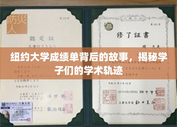 解码纽约大学成绩单，学子们的学术足迹大揭秘
