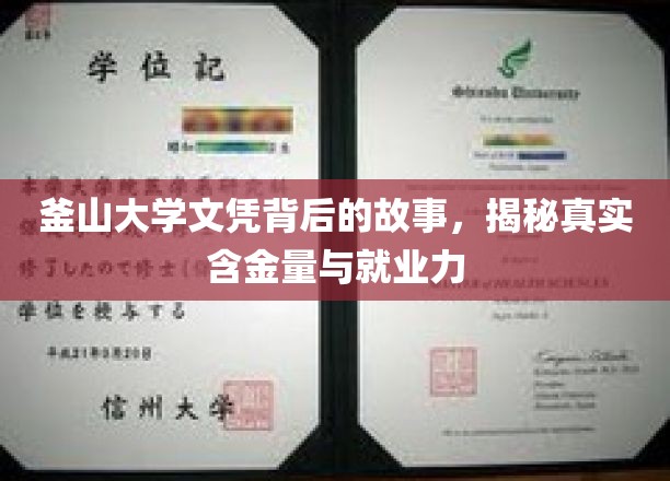釜山大学文凭价值揭秘，探究其真实含金量与职场影响力