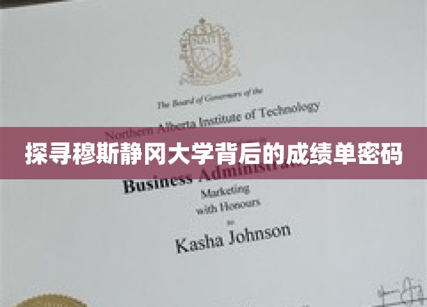 解码穆斯静冈大学，揭秘其卓越成就背后的奥秘
