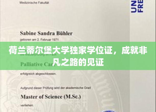 荷兰蒂尔堡大学学位荣耀，开启非凡人生旅程的通行证