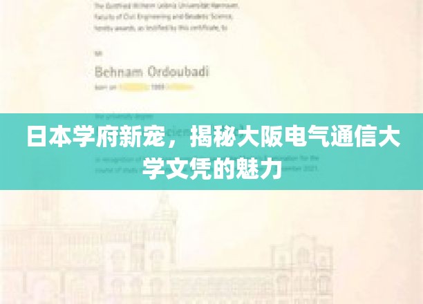 日本学府新宠，揭秘大阪电气通信大学文凭的魅力