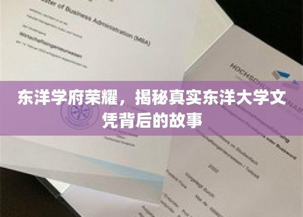 东洋学府荣耀，揭秘真实东洋大学文凭背后的故事
