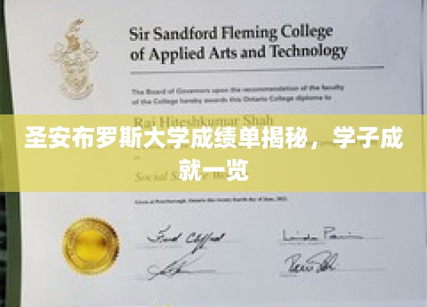 圣安布罗斯大学成绩单揭秘，学子成就一览