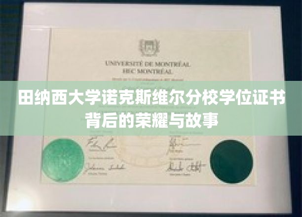 田纳西大学诺克斯维尔分校学位证书背后的荣耀与故事