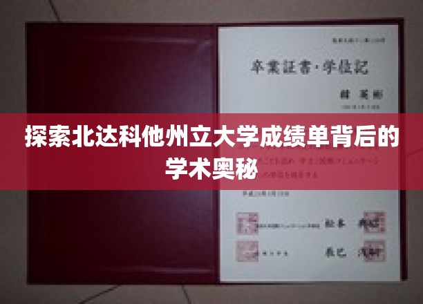 解锁北达科他大学成绩单背后的神秘学术世界