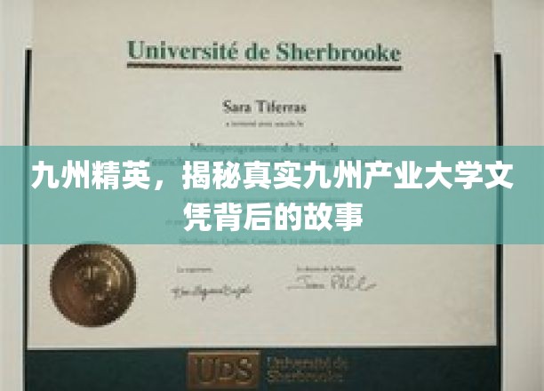 九州文凭之谜，揭秘产业大学背后的精英养成记