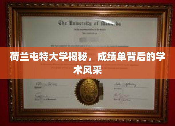 荷兰屯特大学揭秘，成绩单背后的学术风采