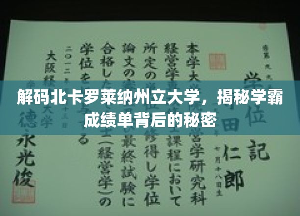揭开北卡罗莱纳大学学霸高分背后的神秘力量