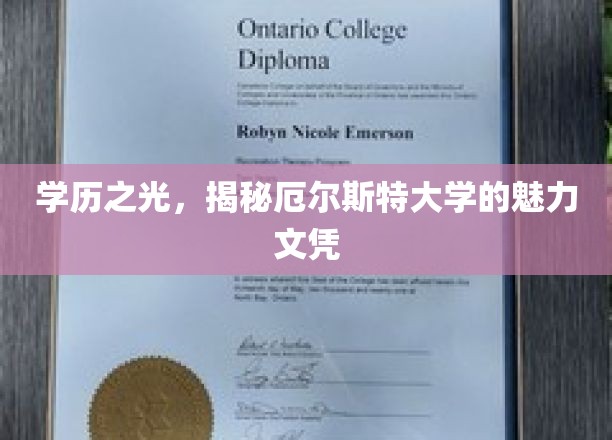 学历之光，揭示厄尔斯特大学的魅力文凭