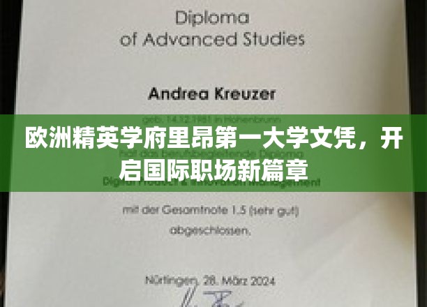 欧洲精英学府里昂第一大学文凭，开启国际职场新篇章