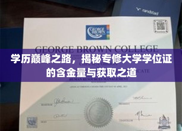 攀登学位巅峰，专修大学学历证的珍贵价值与获得捷径