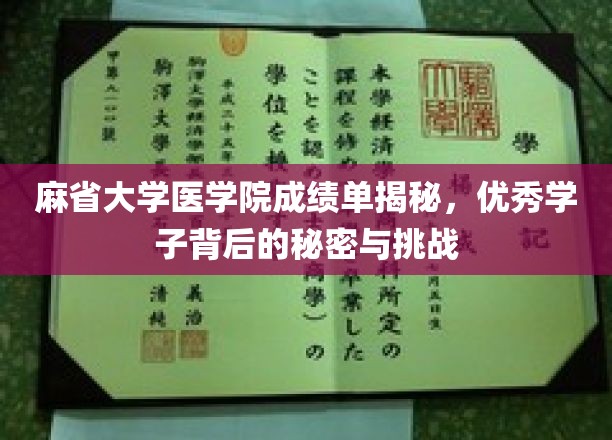 麻省大学医学院学霸养成记，揭秘优秀学子成长之路