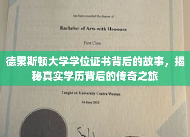德累斯顿大学证书之谜，探寻学历传奇背后的不凡旅程