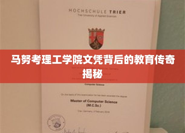 马努考理工学院，揭开文凭背后的不凡教育故事