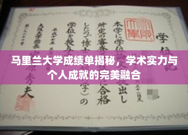 马里兰大学成就探秘，揭秘学术卓越与个人辉煌的和谐画卷