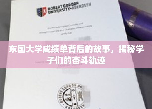 东大成绩单背后的青春足迹，揭秘学子奋斗的精彩篇章