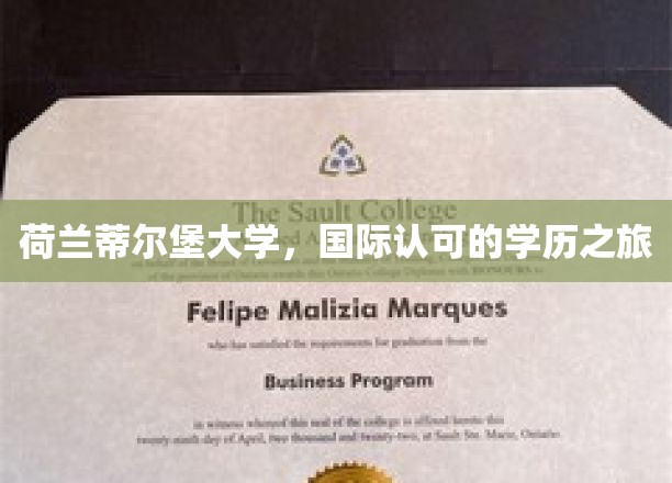 荷兰蒂尔堡大学，国际认可的学历之旅