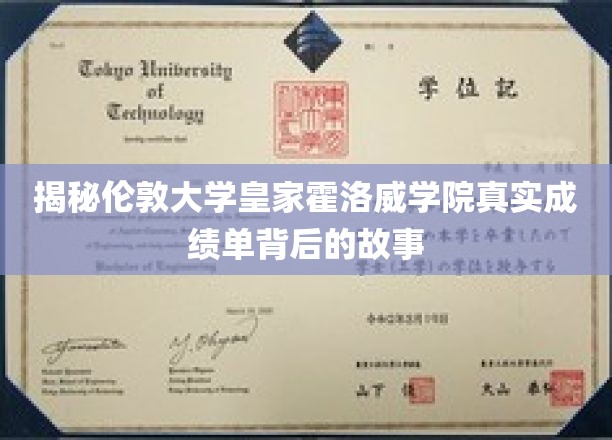 揭秘，伦敦大学皇家霍洛威学院成绩单背后的神秘面纱