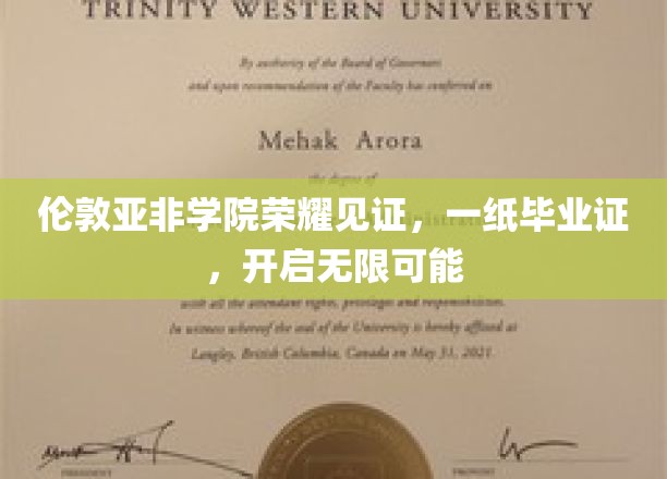 伦敦亚非学院毕业荣耀，开启人生新篇章