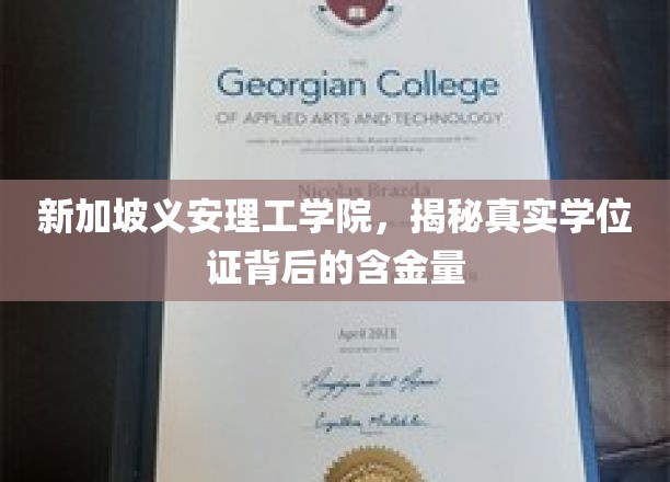 新加坡义安理工学院，揭秘学位证背后的价值与意义