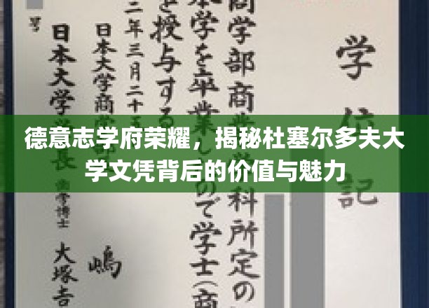 德鲁士多夫荣耀学府，揭秘文凭的非凡价值与迷人魅力