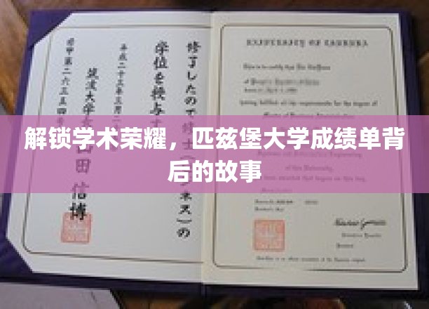揭开匹兹堡大学卓越成就的神秘面纱