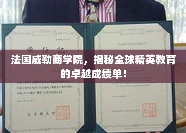法国威勒商学院，培养未来商业领袖的摇篮，成就非凡卓越之路