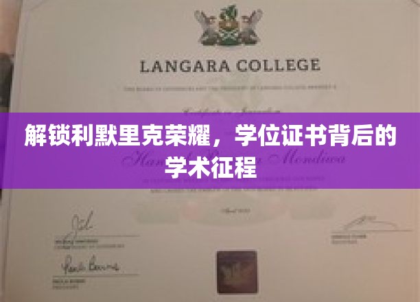 利默里克荣耀揭秘，探寻学位证书背后的学术传奇