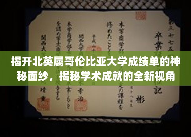 揭开北英属哥伦比亚大学成绩单的神秘面纱，揭秘学术成就的全新视角