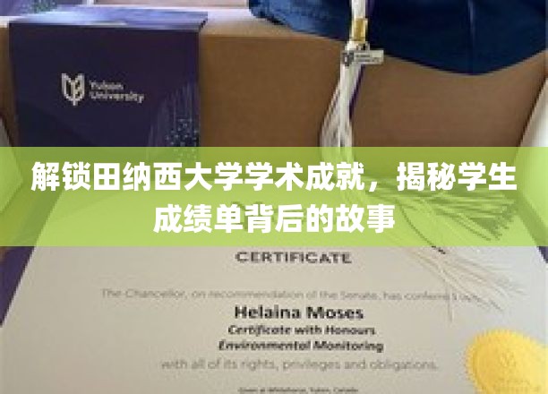 解锁田纳西大学学术成就，揭秘学生成绩单背后的故事