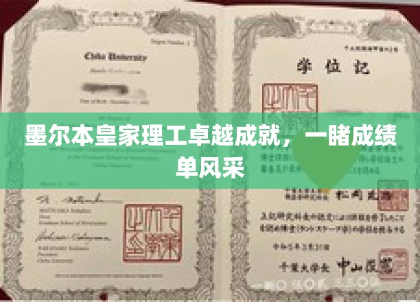 墨尔本皇家理工，辉煌成就一览，卓越风采绽放全球