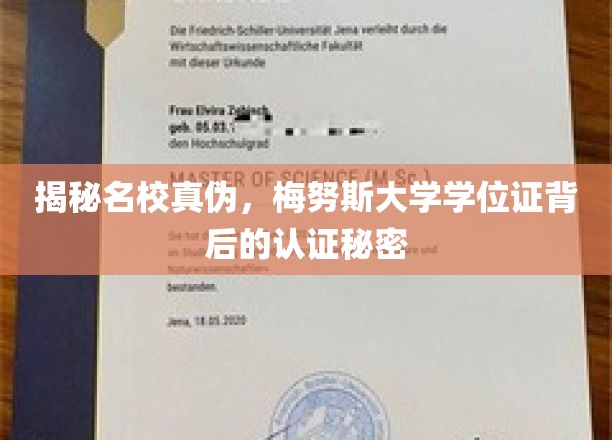 揭开梅努斯大学学位证真伪迷雾，名校认证背后的真相大揭秘
