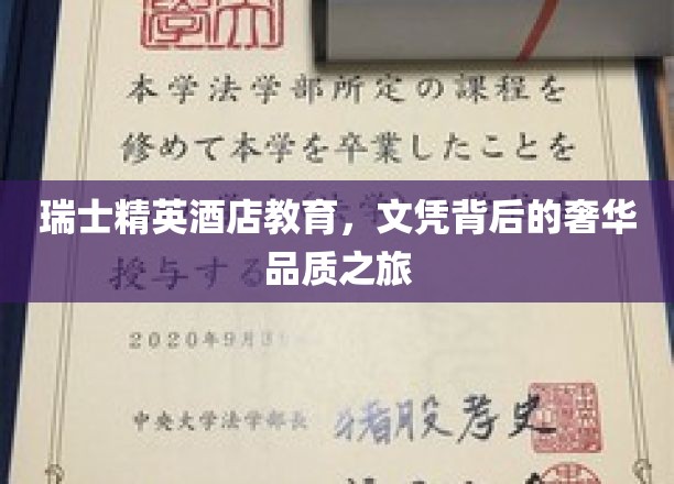 奢华探秘，瑞士精英酒店教育，揭开文凭背后的高端魅力