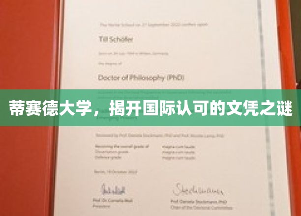 蒂赛德大学，揭秘全球认可的文凭魅力所在
