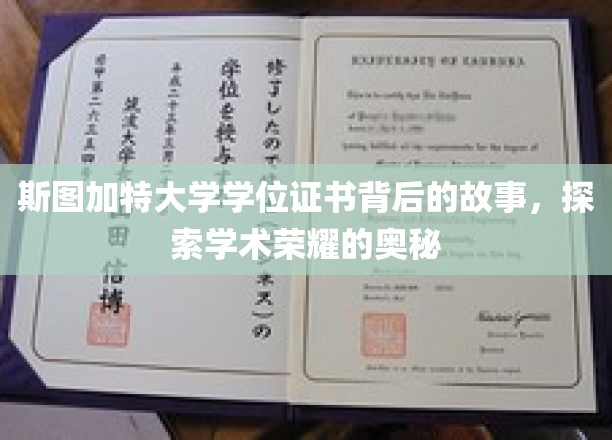 解码斯图加特荣耀，学位证书背后的学术传奇