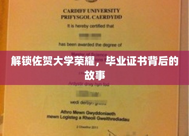 佐贺大学荣耀揭秘，毕业证书背后的传奇历程