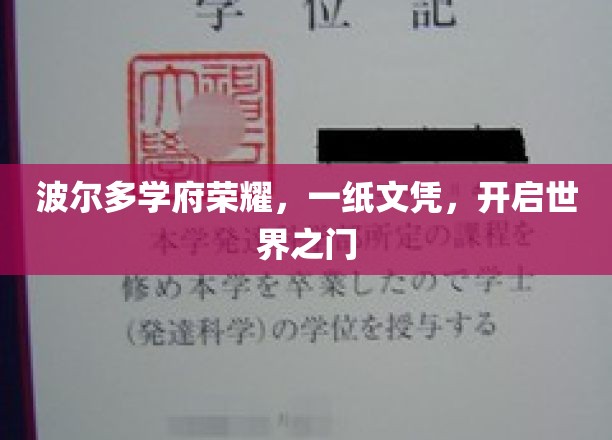 波尔多学府荣耀，一纸文凭，开启世界之门