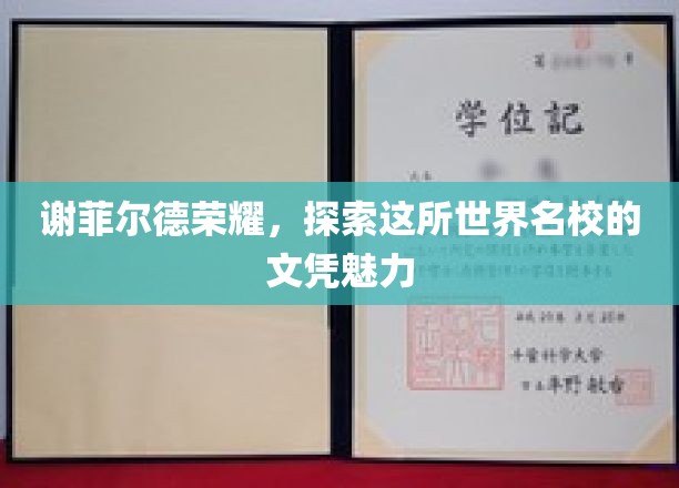 谢菲尔德荣耀，探寻这所世界名校的学位魅力