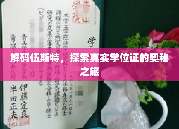 揭开学位证书的伍斯特之谜，一场非凡的认证探秘之旅