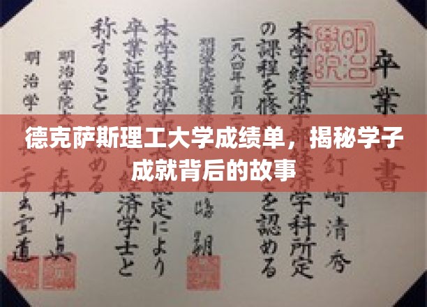 解码德克萨斯理工大学学子卓越背后的成长轨迹