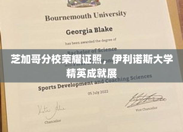 伊利诺斯大学芝加哥分校学子荣耀时刻，精英成就绽放光芒