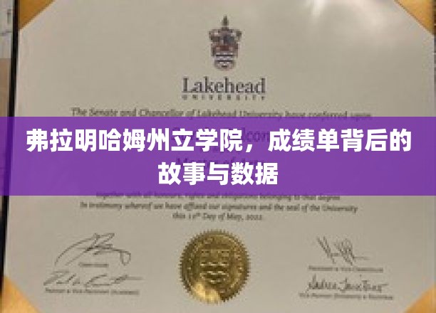 弗拉明哈姆州立学院，成绩单背后的故事与数据