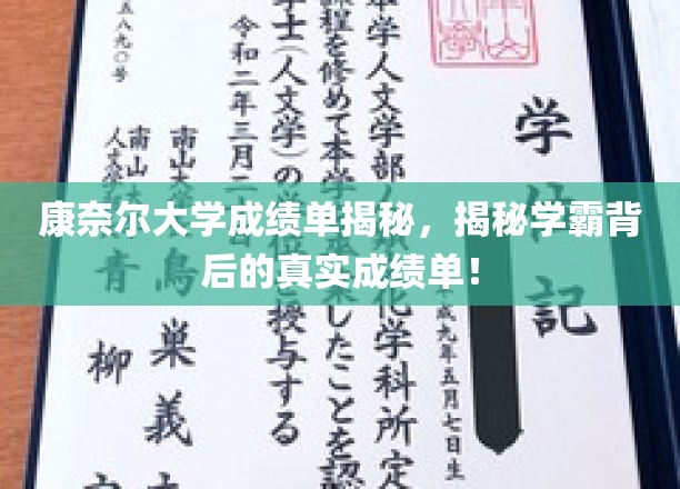 康奈尔学霸真实成绩单曝光，揭秘顶尖大学的学习秘密
