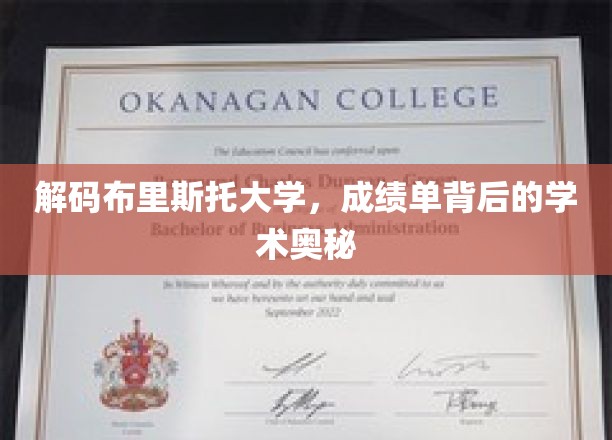 探寻布里斯托大学成绩单背后的学术秘境