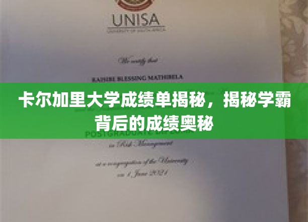 卡尔加里大学成绩单揭秘，揭秘学霸背后的成绩奥秘