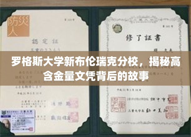罗格斯大学新布伦瑞克分校,揭秘高含金量文凭背后的故事