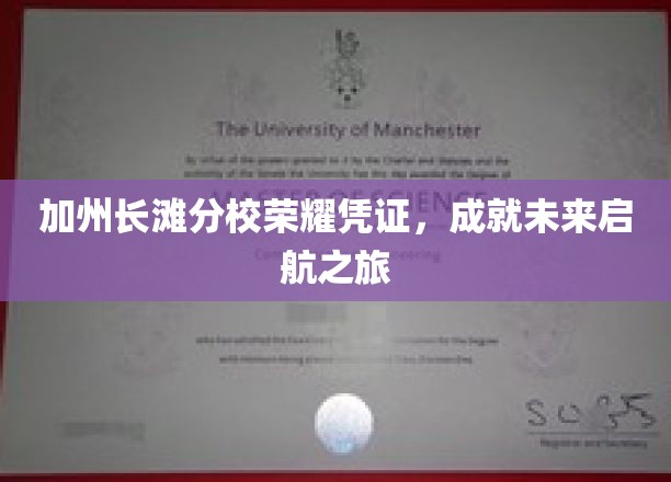 加州长滩分校荣耀凭证，成就未来启航之旅