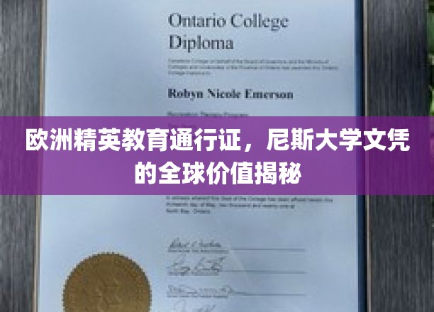 欧洲精英学府通行证，尼斯大学文凭的全球魅力与价值解析
