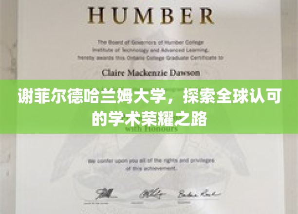 谢菲尔德哈兰姆大学，探索全球认可的学术荣耀之路