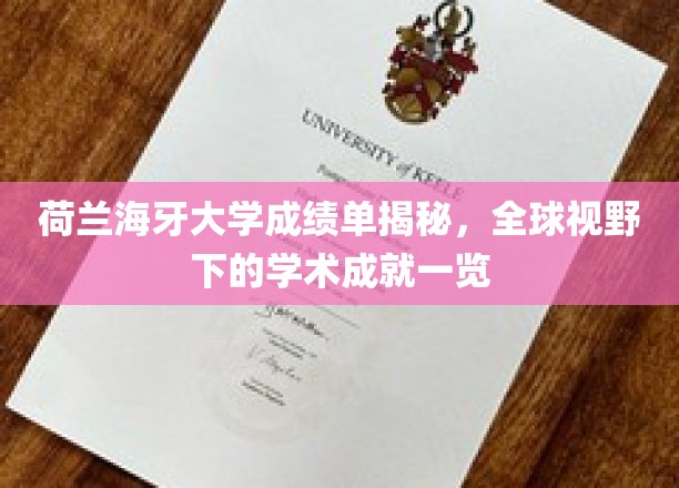 解码荷兰海牙大学，一窥国际学术舞台上的卓越表现